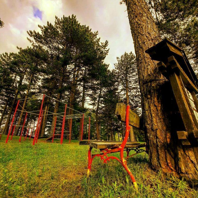 Brvnare Park Borova Villa Zlatibor Eksteriør billede