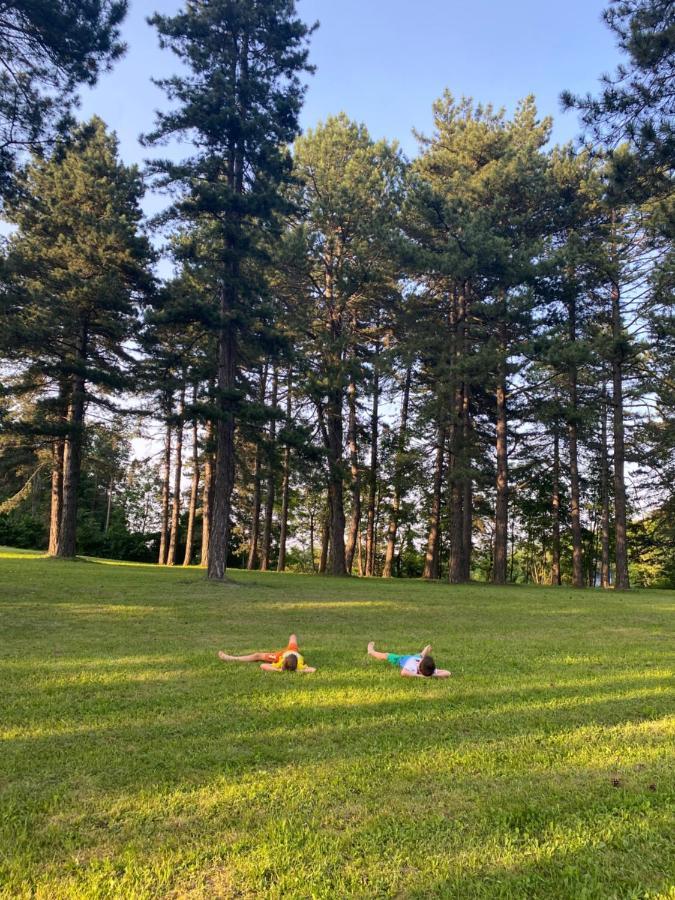 Brvnare Park Borova Villa Zlatibor Eksteriør billede